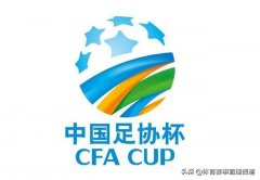 足协杯决赛今晚19:35CCTV5视频72体育直播：上海申花VS山东鲁能
